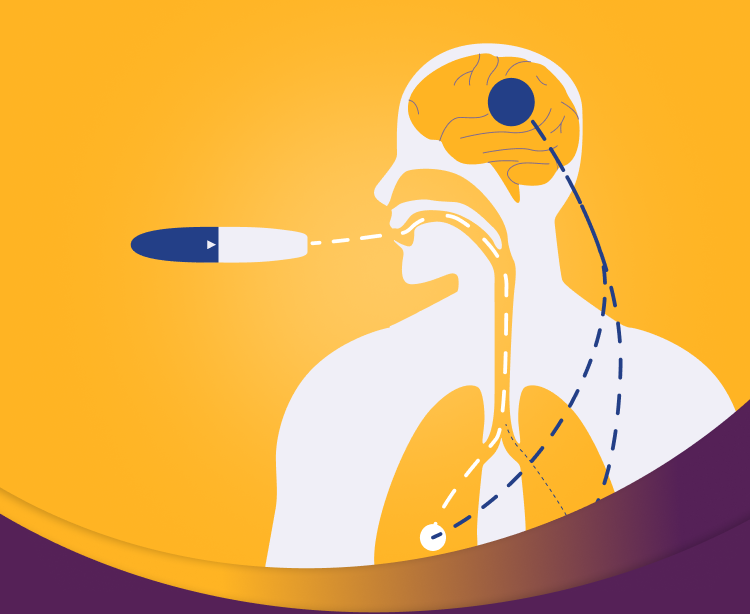 Why Inhaled Absorption Matters Header Image