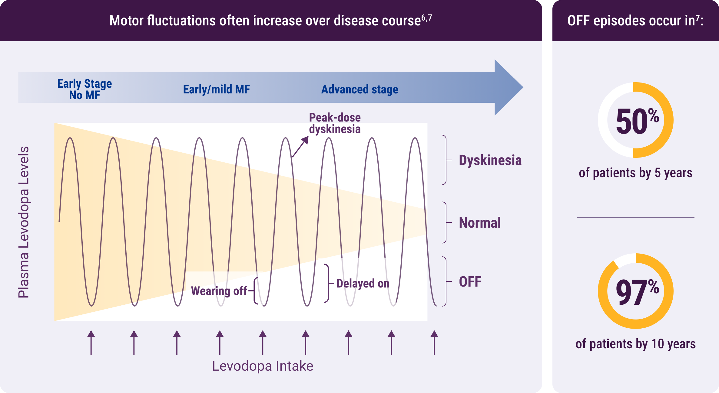 Motor Fluctuations Chart