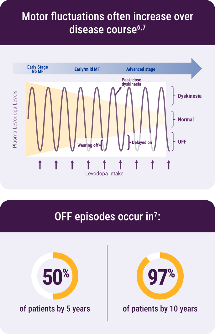 Motor Fluctuations Chart