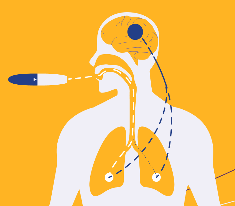 Why Inhaled Absorption Matters Header Image