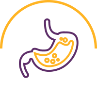 Gastro icon